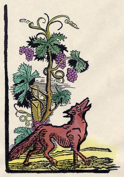 The Fox and the Grapes. Fable of Aesop (18th Century Engraving) by Unknown artist
