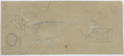The Left Forearm of a Woman Holding a Book by Unknown artist