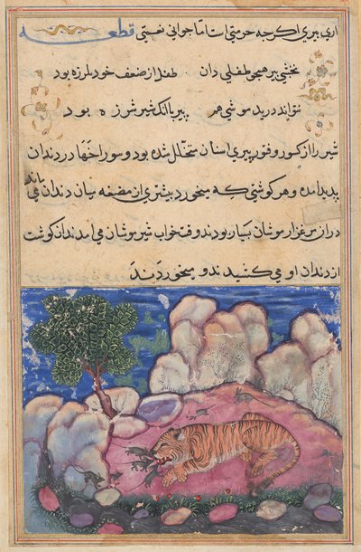 The Lion Disturbed by Mice Who Eat the Food Trapped in His Aging Teeth, from a Tuti-nama (Tales of a Parrot): Fifteenth Night by Unknown artist