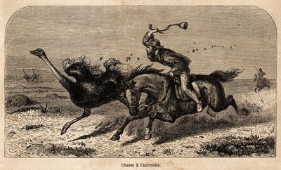 The ostrich hunt, drawn from a photograph, to illustrate the story of hunting in Africa by William Charles Baldwin between 1852 and 1860. Engraving in 