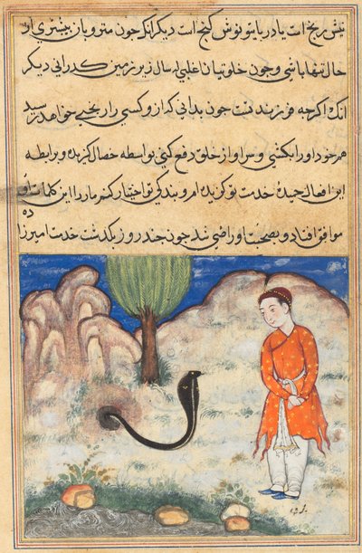The prince, a son of the ruler of Sistan, enters the service of a snake, from a Tuti-nama (Tales of a Parrot): Thirty-seventh Night by Unknown artist