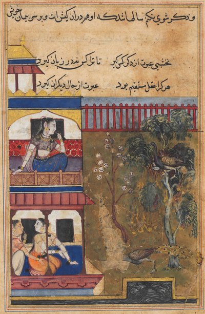 The queen of Rum watches the peahen prefer to burn rather than abandon her eggs while the peacock flees the nest, from a Tuti-nama (Tales of a Parrot): Thirty-ninth Night by Unknown artist