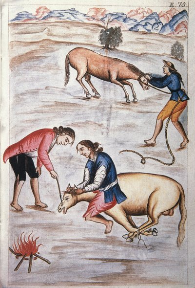 The Red Iron Branding of a Mare, from the Book "Trujillo del Peru" or "Codex Martinez Compañón" by Baltazar Martinez Compañón y Bujanda, Bishop of Trujillo by Unknown artist