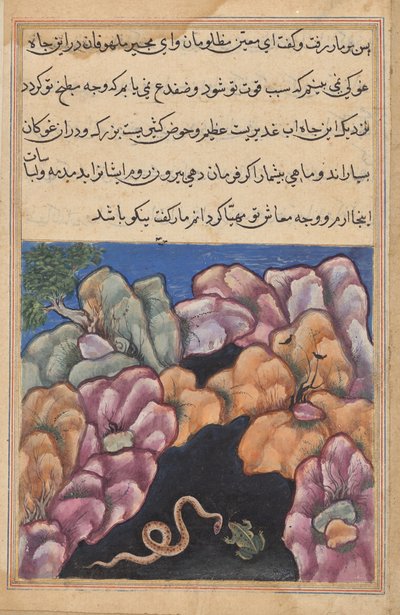 The snake enters into an argument with the frog (Tales of a Parrot: Twenty-sixth Night) by Unknown artist