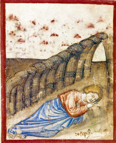 The Vision of Joseph, Son of Jacob by Unknown artist