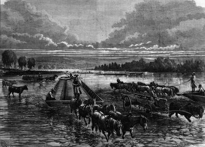 Transportation of oil barrels to Oil Creek, Pennsylvania, USA by Unknown artist