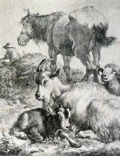Traught horse, goat, goat and ram by Unknown artist