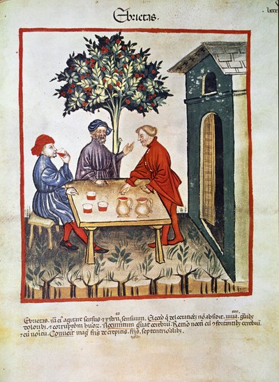 Treatise on Medicine: 