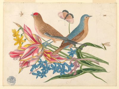 Two Birds on a Branch of Tulips with Insects by Unknown artist