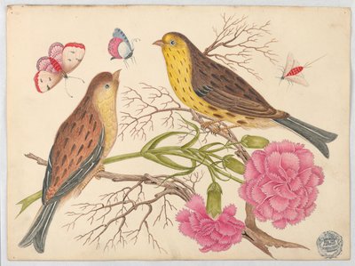 Two Brown-and-Yellow Birds on Branches with Carnations and Insects by Unknown artist