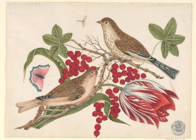 Two Brown Birds on Branch with Tulip, Berries, and Insects by Unknown artist