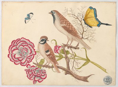 Two Brown Birds with Carnations and Butterflies by Unknown artist