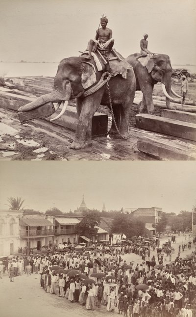 Untitled (elephants moving blocks of wood, recto; procession or crowd, verso) by Unknown artist