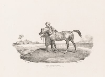 Various Subjects Drawn from Life and on Stone: An Arabian Horse by Unknown artist