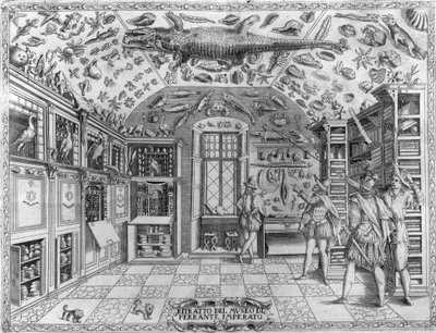 View of the museum (cabinet) of curiosities (encyclopedic museum) of the pharmacist Ferrante Imperato (1550 - 1631). Engraving from 1678. Museum of the Neapolitan apothecary Ferrante Imperato. by Unknown artist