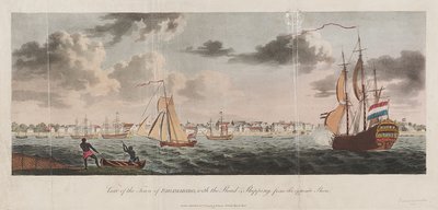 View of the town of Paramaribo, with the road and shipping from the opposite shore by Unknown artist