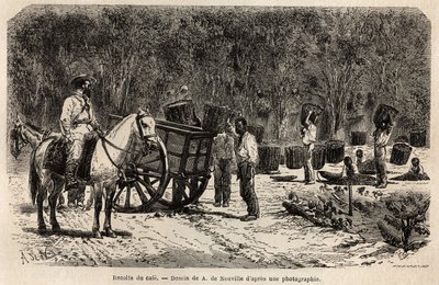 When the coffee is collected, the men collect and transport the heavy baskets filled with coffee beans, while the children clean the pulp that surrounds the coffee beans. Engraving to illustrate the voyage to Brazil, story by M. and Mme Agassiz, in 1865-18 by Unknown artist