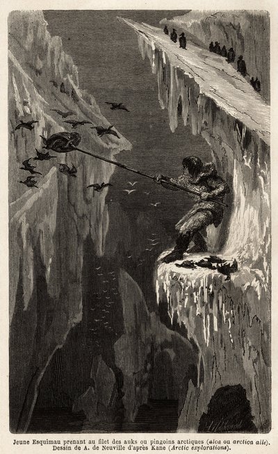 Young Eskimo Catching Arctic Penguins. Engraving to Illustrate the Voyage to the Free Sea of the Arctic Pole, by Doctor Hayes, Surgeon of the United States Navy, in 1860-1862, Published in Le Tour du Monde, Nouveau Journal des Voyages by Unknown artist