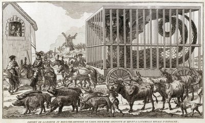 Zoomorphism - Caricature against Mary - Antoinette by Unknown artist