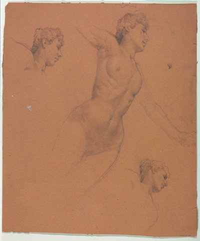 Drawing by Unknown artist