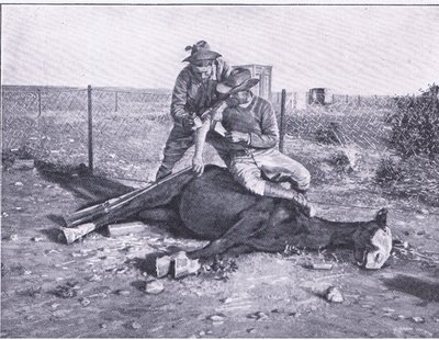 A Narrow Escape, from After Pretoria: The Guerilla War published by Harmsworth Bros Limited by Unknown photographer
