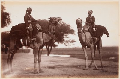 Camel Sowars at the Delhi Camp of Exercise by Unknown photographer