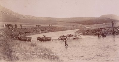 Canon crossing a river during the Boer War by Unknown photographer