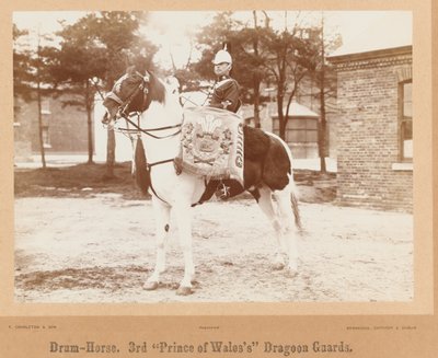Drum-Horse, 3rd Prince of Wales