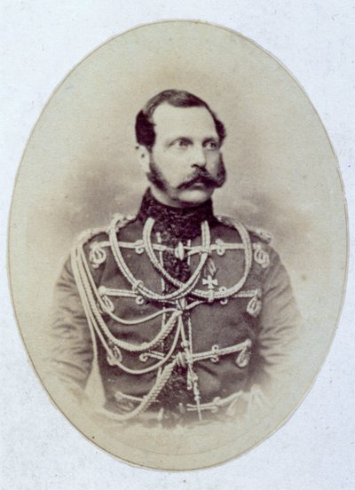 Half-length portrait of the Russian czar Alexander II by Unknown photographer