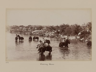 Indian Cavalrymen Watering Their Horses During the Delhi Camp of Exercise by Unknown photographer