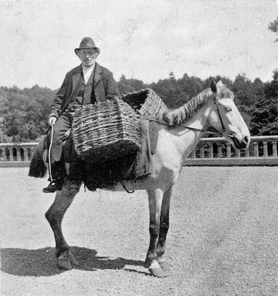 Irish Man on His Horse (19th Century) by Unknown photographer