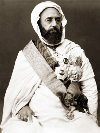 Portrait of Abd el Kader (Abd El-Kader) around 1875 by Unknown photographer