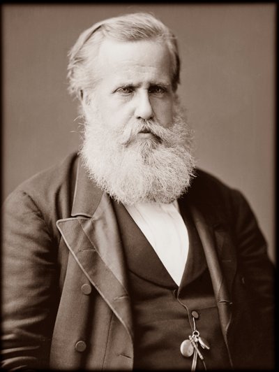 Portrait of Dom Pedro II, Emperor of Brazil by Unknown photographer