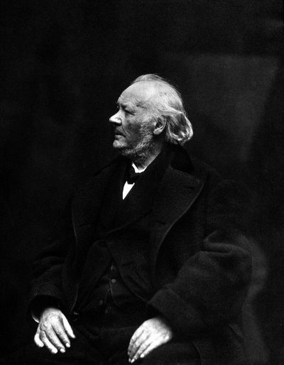 Portrait of Honoré Daumier, French Cartoonist, Lithographer, Painter and Sculptor (1808-1879). 19th Century Photograph by Unknown photographer