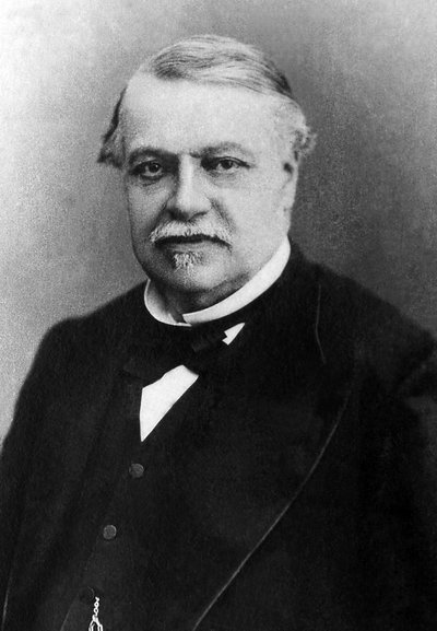 Portrait of Léon Say (1826-1896), French Politician by Unknown photographer