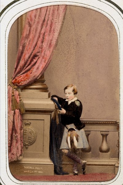 Portrait of Prince Leopold of England, Duke of Albany by Unknown photographer