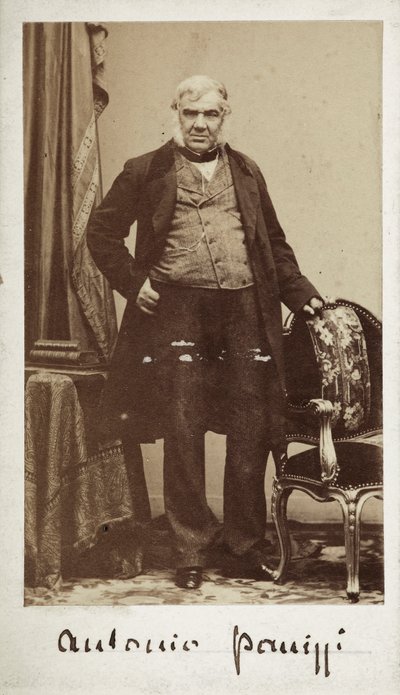 Portrait of Senator Antonio Panizzi, Director of the Library of the British Museum by Unknown photographer
