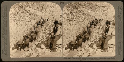 Portrait of a boy in the famous marble quarries in Carrara (b/w photo) by Unknown photographer