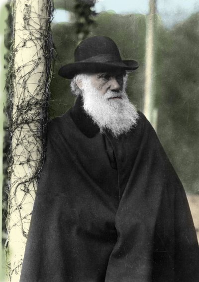 Portrait photograph of Charles Darwin, English naturalist in 1881 by Unknown photographer