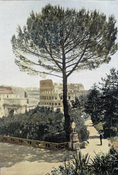 Rome, the Colosseum Seen from the Palatine - Arts Deco by Unknown photographer