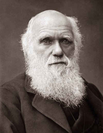 The English Naturalist Charles Robert Darwin by Unknown photographer