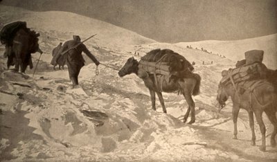 The French and Italian Positions Have More Than 2 Meters of Snow Above Sea Level by Unknown photographer