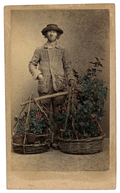 Venetian Costumes and Masks: A Peddler of Plants by Unknown photographer