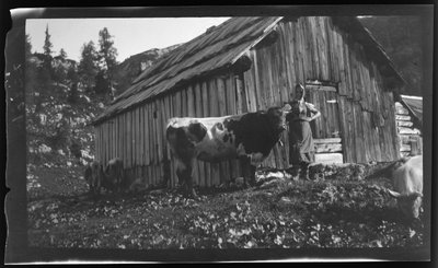 Vorderbachalm with Alpine Hut near Goessl at Lake Grundl by Unknown photographer