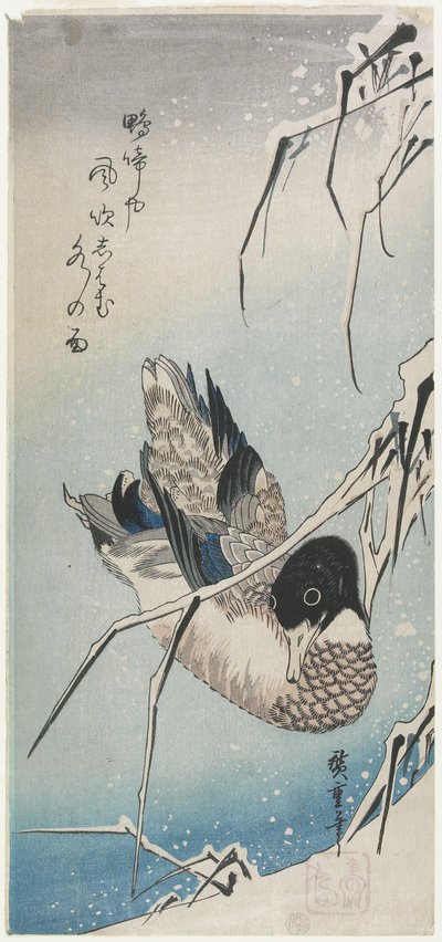 Duck and Snowy Reeds by Utagawa Hiroshige