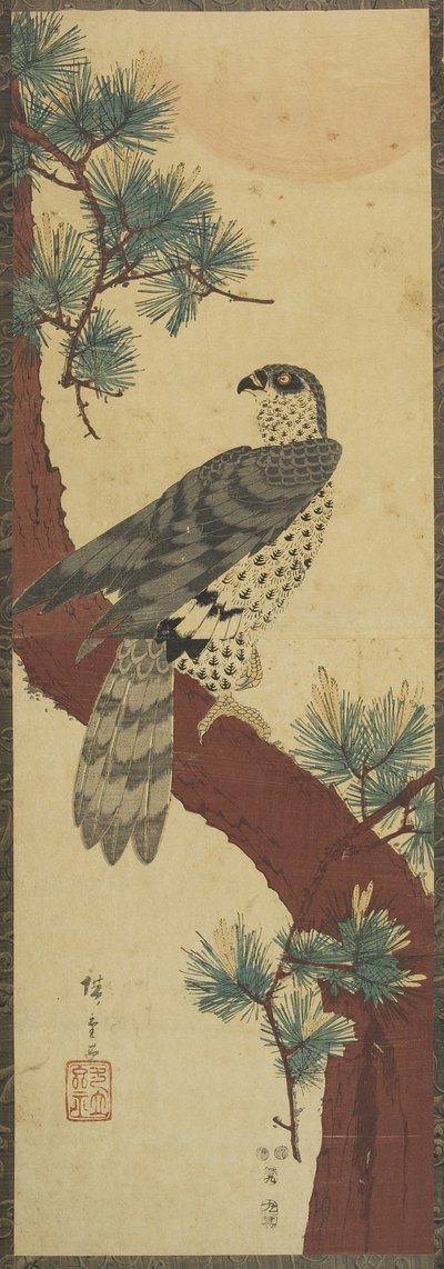 Hawk on Pine Branch, Summer, September 1853 by Utagawa Hiroshige