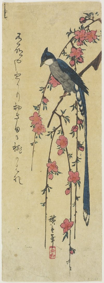 Long-tail Cock on Drooping Cherry Tree by Utagawa Hiroshige
