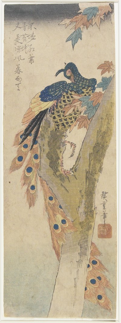 Peacock on Maple Tree by Utagawa Hiroshige