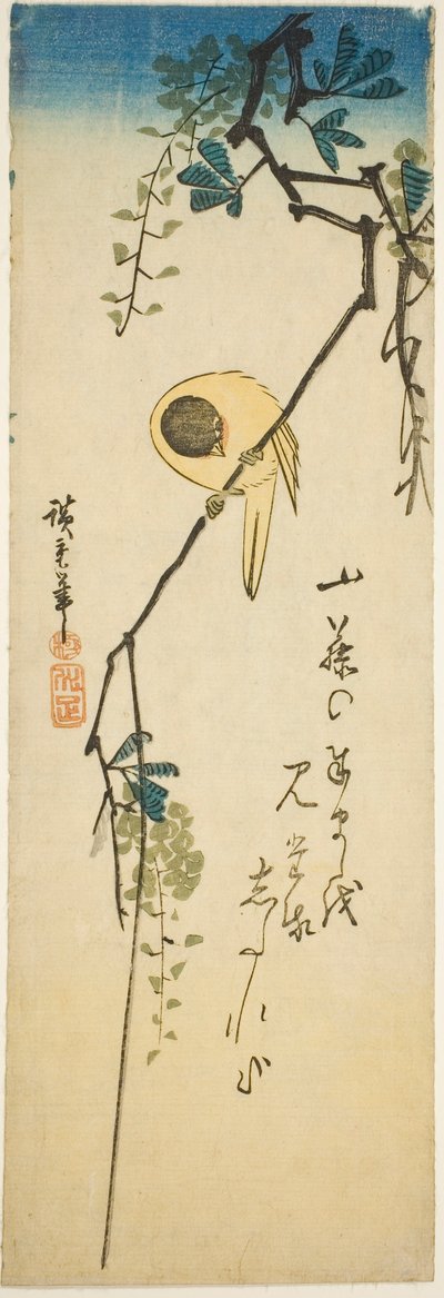 Bird on Silky Wisteria by Utagawa Hiroshige