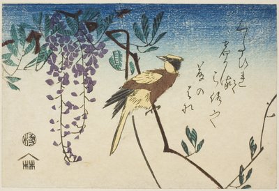 Black-naped Oriole and Wisteria by Utagawa Hiroshige